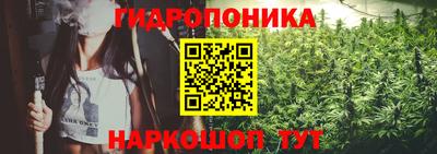 Альфа ПВП Анжеро-Судженск