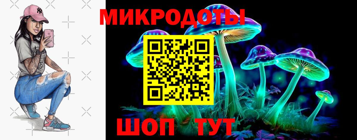 Губкин  Галлюциногенные грибы мицелий  Вход с VPN 