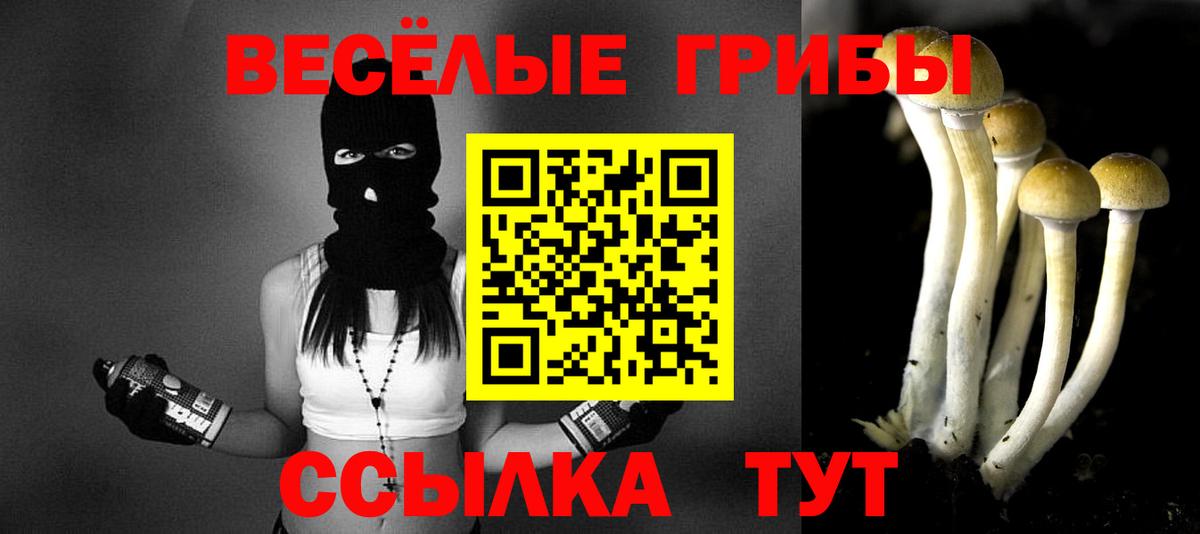 Псилоцибиновые грибы мицелий Губкин